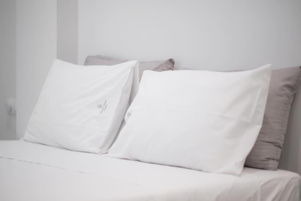 אתונה Luxury Studio With Garden Next To Acropolis מראה חיצוני תמונה